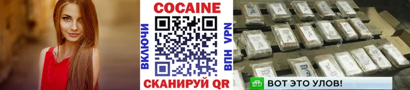 КОКАИН Fish Scale  Пенза 
