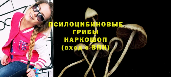 ALPHA-PVP Белокуриха