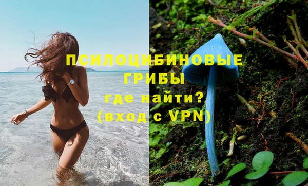 ALPHA-PVP Белокуриха