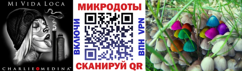 Псилоцибиновые грибы прущие грибы где можно купить наркотик Пенза